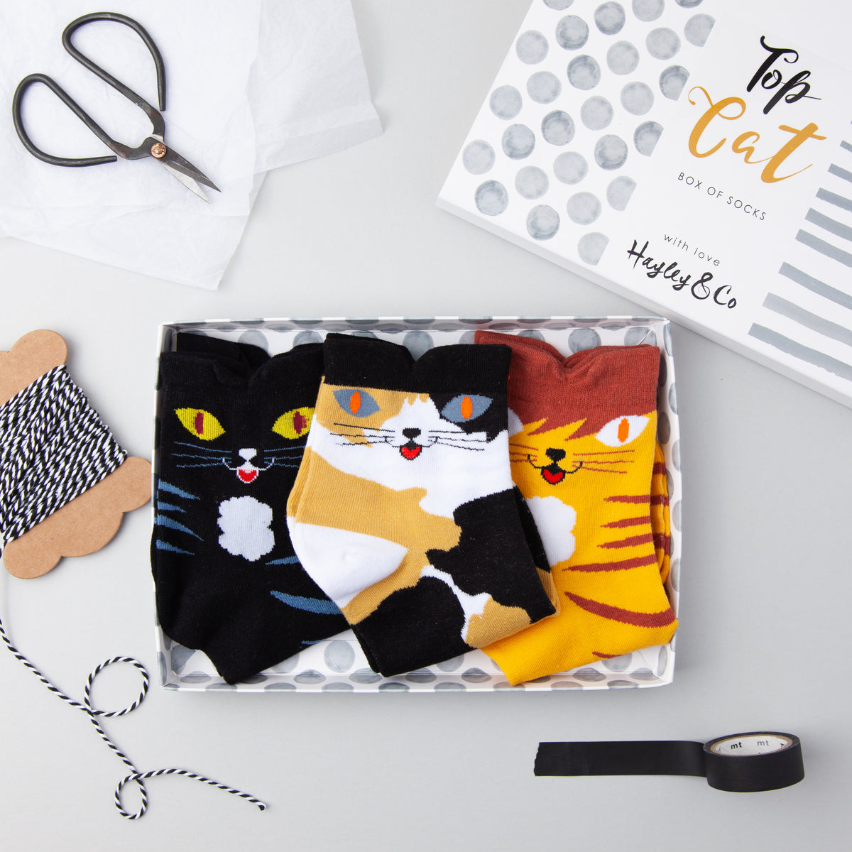 Cute Kitten Box of Socks – Hayley&Co