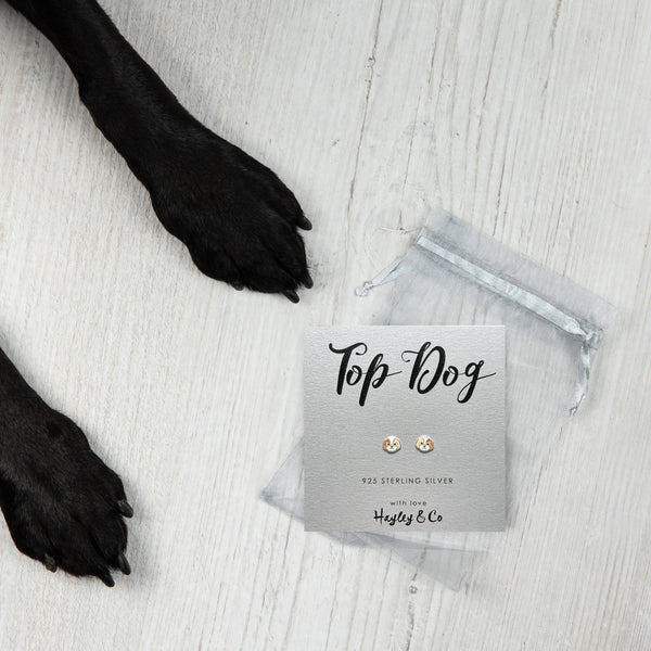 Cavalier King Charles Spaniel Sterling Silver Earrings