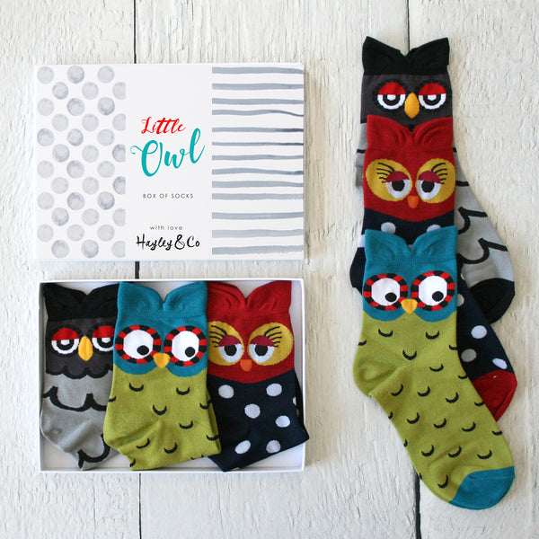 Little Owl Box of Socks